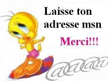 laisse ton msn svp et merci