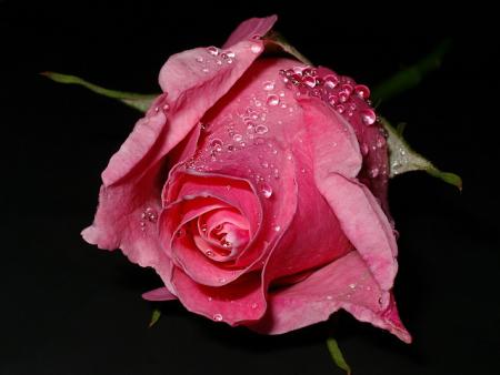 kn9dmha lkolchi...........